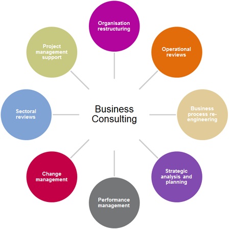 Business consulting and advisory services